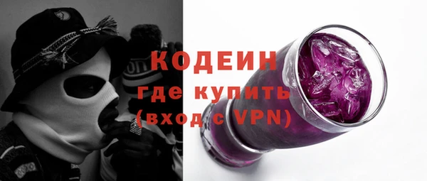 индика Богородск