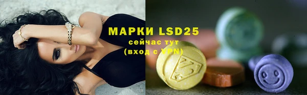 индика Богородск