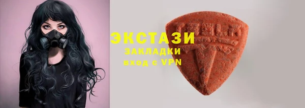 индика Богородск