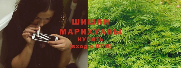 индика Богородск