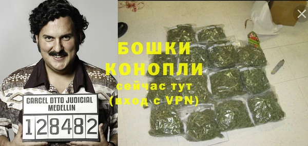 индика Богородск