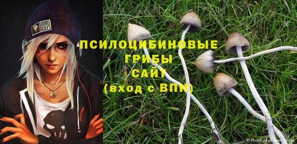 ГАЛЛЮЦИНОГЕННЫЕ ГРИБЫ Богородицк