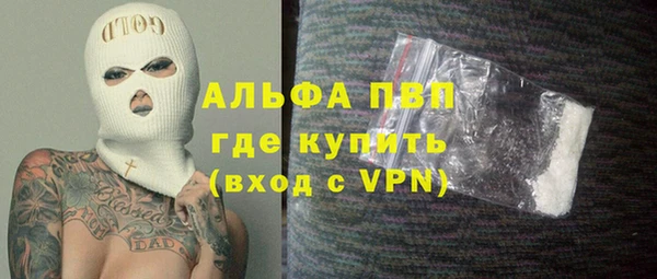 индика Богородск