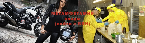 индика Богородск