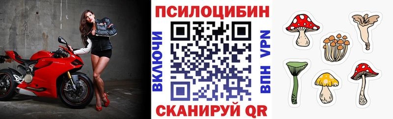 Галлюциногенные грибы Magic Shrooms  Саранск 