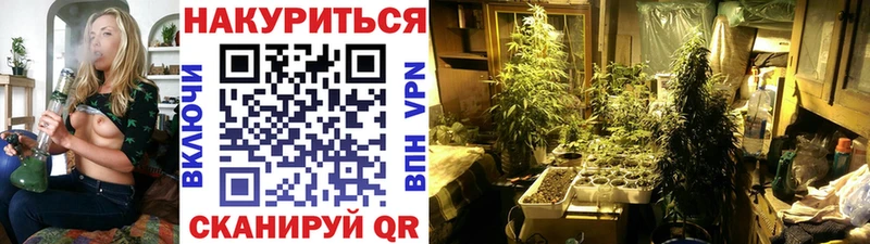 mega зеркало  Саранск  Каннабис марихуана 